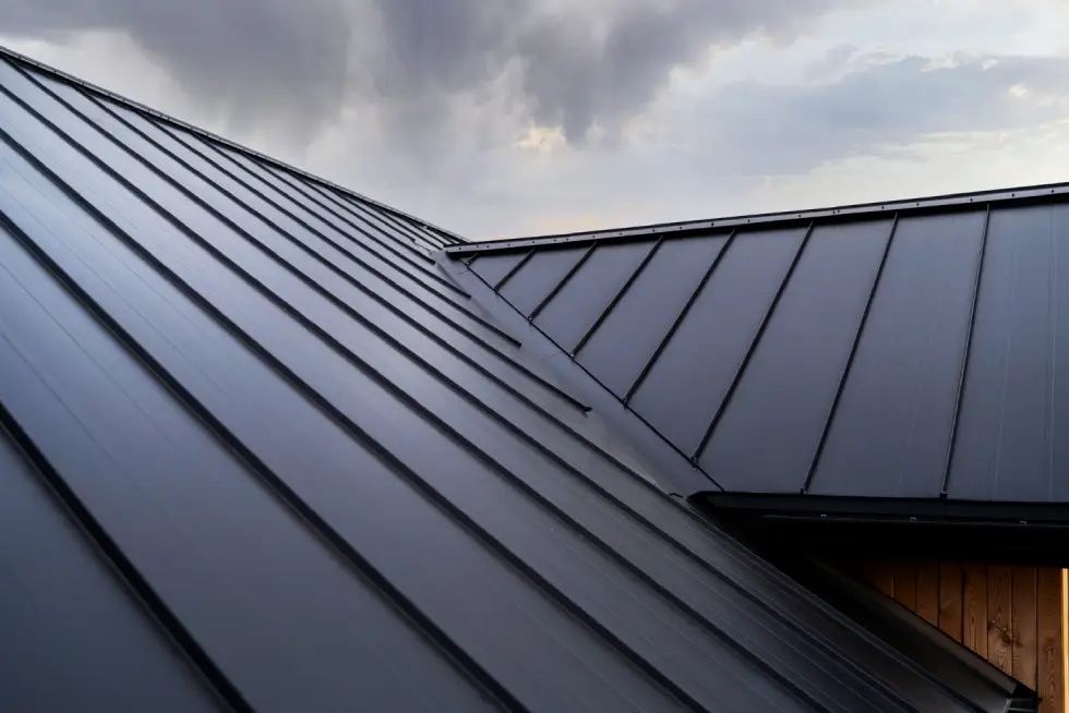 Metal Roofing